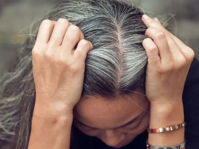 Ý Nghĩa Khi Người Thân Hoặc Người Lạ Nhổ Tóc Bạc Cho Mình Là Gì? Ý Nghĩa Khi Người Thân Hoặc Người Lạ Nhổ Tóc Bạc Cho Mình Là Gì?