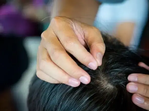 Nằm Mơ Thấy Người Khác Nhổ Tóc Bạc Cho Mình Mang Ý Nghĩa Gì? Nằm Mơ Thấy Người Khác Nhổ Tóc Bạc Cho Mình Mang Ý Nghĩa Gì?