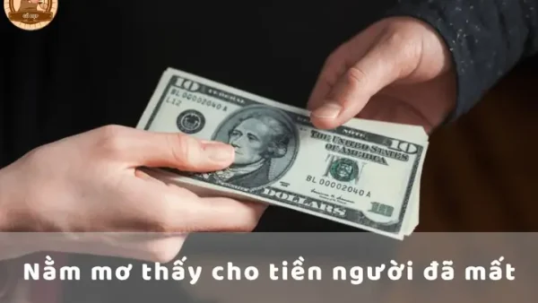 Giải Mã Giấc Mơ Nằm Mơ Thấy Người Ta Cho Tiền Đô Là Hên Hay Xui?