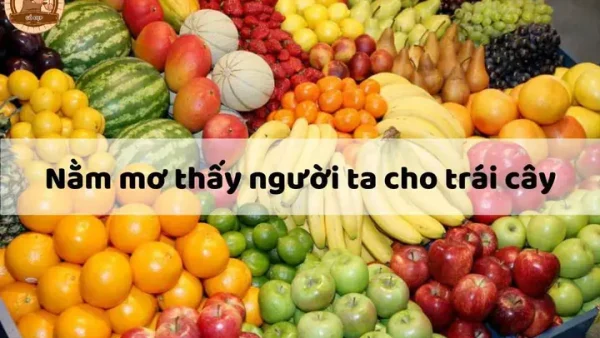 Nằm Mơ Thấy Người Ta Cho Trái Cây Đánh Số Nấy? Giải Mã Ý Nghĩa Và Con Số May Mắn