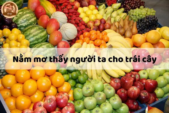 Nằm Mơ Thấy Người Ta Cho Trái Cây Đánh Số Nấy? Giải Mã Ý Nghĩa Và Con Số May Mắn