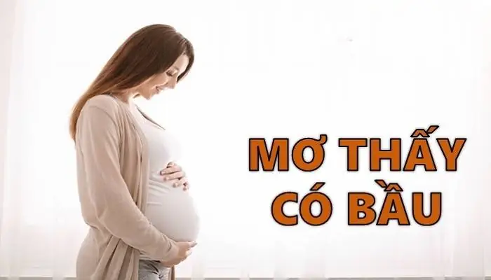 Nằm Mơ Thấy Người Ta Có Bầu Đánh Con Gì Để Thử Vận May?