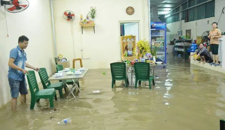 Giấc Mơ Phản Ánh Điều Gì Về Tâm Lý Và Cảm Xúc Của Bạn? Giấc Mơ Phản Ánh Điều Gì Về Tâm Lý Và Cảm Xúc Của Bạn?