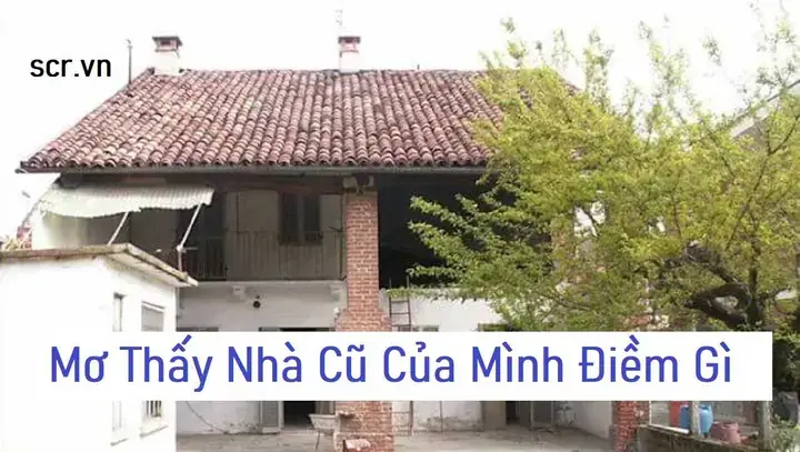 Lưu Ý Khi Lựa Chọn Con Số May Mắn Từ Giấc Mơ Lưu Ý Khi Lựa Chọn Con Số May Mắn Từ Giấc Mơ
