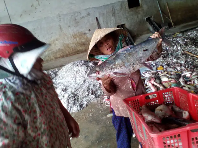 Có Nên Dùng Kết Quả Giải Mã Giấc Mơ Để Tham Gia Trò Chơi May Rủi Không?