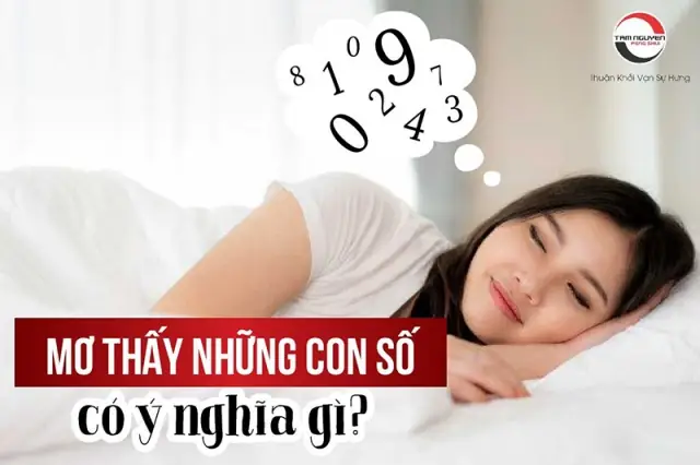 Phương Pháp Cộng Tổng Các Con Số Trong Giấc Mơ Để Tìm Ra Con Số Duy Nhất