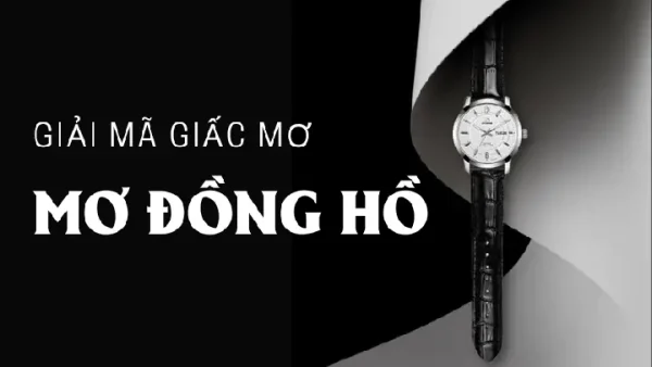 Nằm Mơ Thấy Nhiều Cua Đồng Là Điềm Gì? Giải Mã Giềm Báo Và Con Số May Mắn