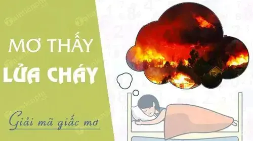 Cặp Số 08 Và 48 Thường Xuất Hiện Khi Bạn Chiêm Bao Thấy Nhóm Lửa. Cặp Số 08 Và 48 Thường Xuất Hiện Khi Bạn Chiêm Bao Thấy Nhóm Lửa.