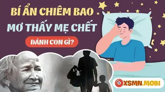 Nằm Mơ Thấy Nói Chuyện Với Mẹ Đã Chết Là Điềm Báo Gì? Giải Mã Ý Nghĩa Và Tâm Lý