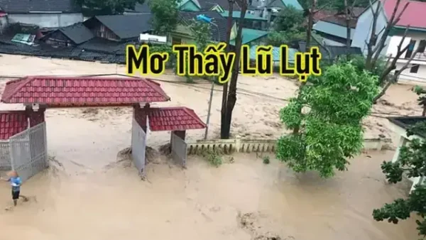 Nằm Mơ Thấy Nước Chảy Từ Trên Cao Xuống Là Điềm Gì? Giải Mã Ý Nghĩa Lành Dữ Và Con Số May Mắn