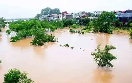 Nằm Mơ Thấy Nước Mênh Mông Là Điềm Gì? Giải Mã Giấc Mơ Và Gợi Ý Con Số Lô Đề