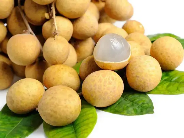 Nằm Mơ Thấy Hái Quả Nhãn Và Ăn Nhãn Đánh Con Gì? Nằm Mơ Thấy Hái Quả Nhãn Và Ăn Nhãn Đánh Con Gì?