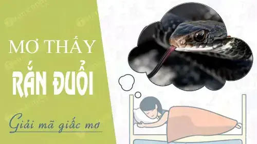 Nằm Mơ Thấy Rắn Đuổi Cắn Là Điềm Báo Gì Và Đánh Con Gì Trúng Lớn?