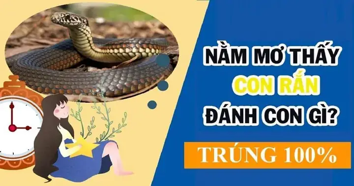 Giấc Mơ Thấy Rắn Đuổi Có Liên Quan Đến Sức Khỏe Hay Không? Giấc Mơ Thấy Rắn Đuổi Có Liên Quan Đến Sức Khỏe Hay Không?