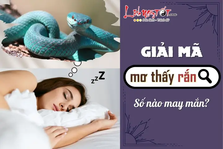 Có Nên Quá Lo Lắng Hay Tin Tưởng Tuyệt Đối Vào Các Con Số Đề Từ Giấc Mơ?