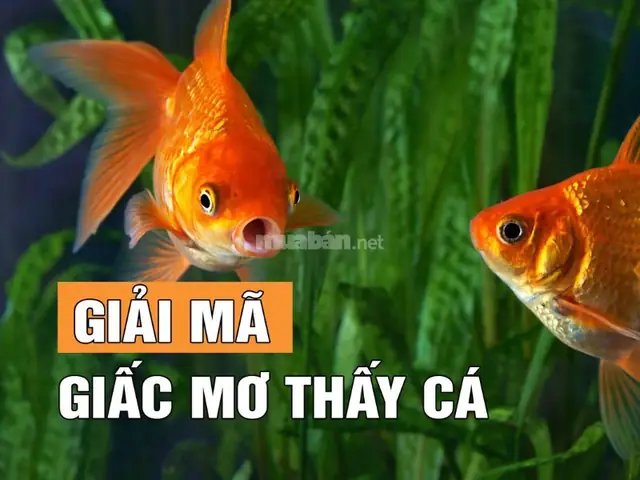 Làm Thế Nào Để Ghi Nhớ Chính Xác Chi Tiết Giấc Mơ Nhằm Tra Cứu Con Số Chuẩn Xác? Làm Thế Nào Để Ghi Nhớ Chính Xác Chi Tiết Giấc Mơ Nhằm Tra Cứu Con Số Chuẩn Xác?