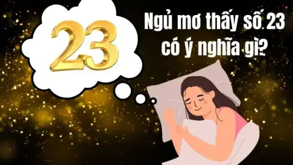 Nằm Mơ Thấy Số 23 Đánh Đề Con Gì? Giải Mã Ý Nghĩa Và Con Số May Mắn