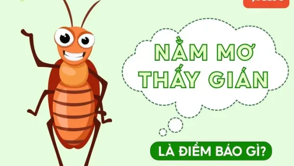 Giải Mã Nằm Mơ Thấy Thầy Tu Là Điềm Báo Gì? Điềm Lành Hay Dữ Và Con Số May Mắn