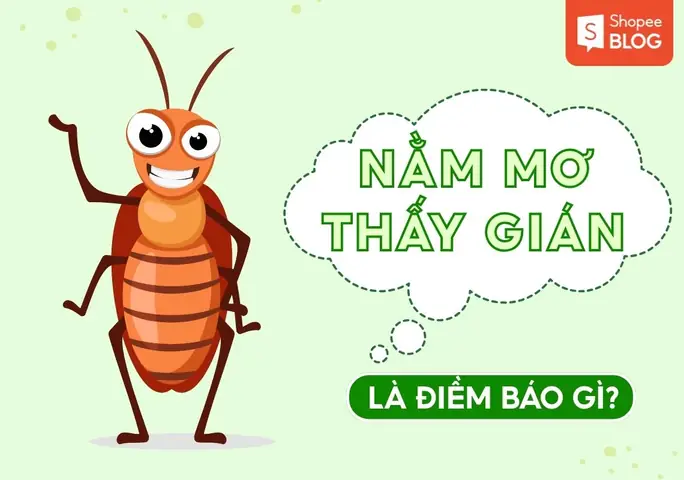 Nằm Mơ Thấy Thầy Tu Liên Quan Đến Những Con Số May Mắn Nào Trong Phong Thủy? Nằm Mơ Thấy Thầy Tu Liên Quan Đến Những Con Số May Mắn Nào Trong Phong Thủy?