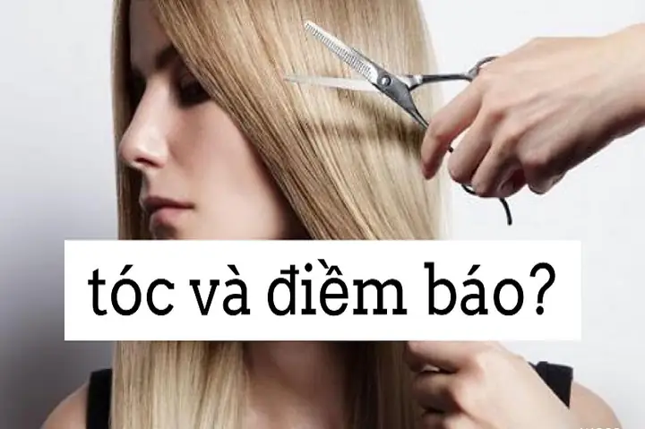 Khi Nào Giấc Mơ Rụng Tóc Phản Ánh Các Vấn Đề Bệnh Lý Thực Sự Cần Gặp Chuyên Gia? Khi Nào Giấc Mơ Rụng Tóc Phản Ánh Các Vấn Đề Bệnh Lý Thực Sự Cần Gặp Chuyên Gia?