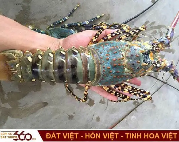 Chiêm Bao Thấy Bắt Được Nhiều Tôm Mang Lại Vận May Nào?
