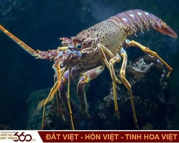 Nằm Mơ Thấy Tôm Chín Là Điềm Báo Tốt Hay Xấu?