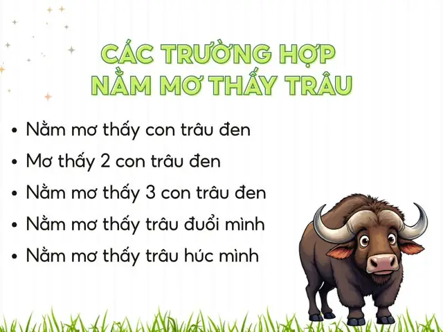 Những Giấc Mơ Liên Quan Đến Trâu Khác Và Ý Nghĩa Giải Mã Những Giấc Mơ Liên Quan Đến Trâu Khác Và Ý Nghĩa Giải Mã