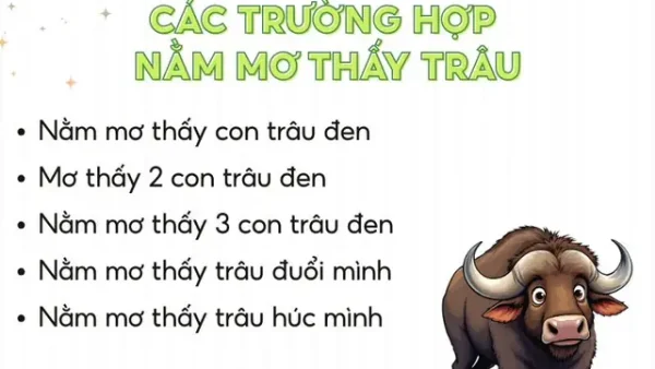Nằm Mơ Thấy Trâu Húc Nhau Là Điềm Gì? Giải Mã Chi Tiết Ý Nghĩa Và Con Số May Mắn