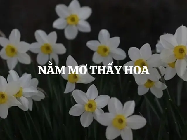 Nằm Mơ Thấy Vườn Hoa Mang Ý Nghĩa Gì Và Là Điềm Lành Hay Dữ? Nằm Mơ Thấy Vườn Hoa Mang Ý Nghĩa Gì Và Là Điềm Lành Hay Dữ?