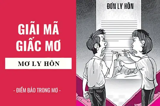 Nằm Mơ Thấy Vợ Chồng Bỏ Nhau Là Điềm Báo Lành Hay Dữ?