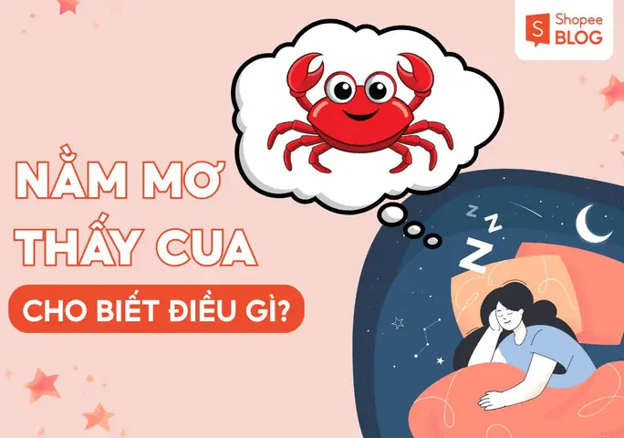 Nằm Mơ Thấy Cua Bò Vào Nhà Hoặc Cua Bò Ngang Đường Là Điềm Gì? Nằm Mơ Thấy Cua Bò Vào Nhà Hoặc Cua Bò Ngang Đường Là Điềm Gì?