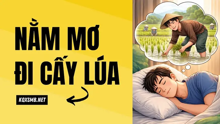 Nằm Mơ Thấy Lội Bùn Hoặc Lội Ruộng Đánh Đề Con Gì Dễ Trúng?