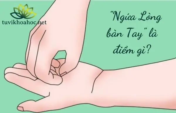 Nguyên Nhân Y Học Nào Gây Ra Tình Trạng Ngứa Lòng Bàn Tay Trái? Nguyên Nhân Y Học Nào Gây Ra Tình Trạng Ngứa Lòng Bàn Tay Trái?