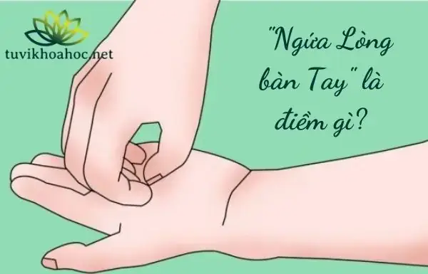 Những Sai Lầm Thường Gặp Khi Tự Điều Trị Ngứa Lòng Bàn Tay Tại Nhà Là Gì? Những Sai Lầm Thường Gặp Khi Tự Điều Trị Ngứa Lòng Bàn Tay Tại Nhà Là Gì?