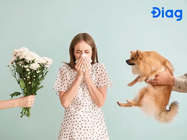 Ngứa Mũi Theo Ngày Giờ Điềm Báo Gì? Giải Mã Ý Nghĩa Tâm Linh Và Khoa Học