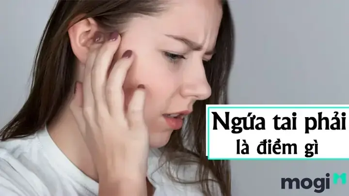 Giải Mã Hiện Tượng Ngứa Trán Theo Góc Nhìn Tâm Linh Và Phong Thủy Giải Mã Hiện Tượng Ngứa Trán Theo Góc Nhìn Tâm Linh Và Phong Thủy