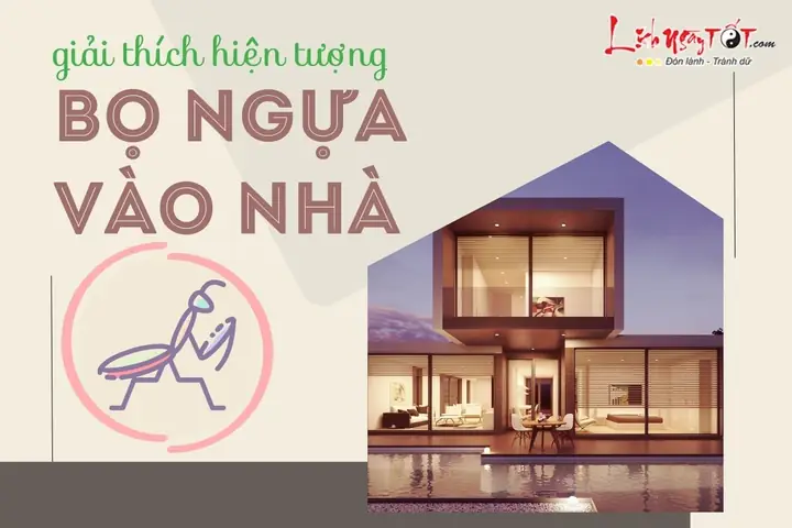 Ngựa Trời Vào Nhà Là Điềm Báo Gì? Giải Mã Ý Nghĩa Phong Thủy Và Tài Lộc