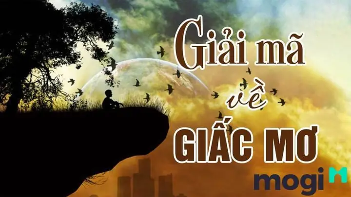 Khi Nào Kiến Đen Xuất Hiện Trong Nhà Là Điềm Báo Cần Thận Trọng?