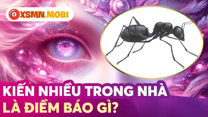 Điềm Báo Từ Những Vị Trí Nhạy Cảm Khi Kiến Bò Lên Hoặc Làm Tổ Điềm Báo Từ Những Vị Trí Nhạy Cảm Khi Kiến Bò Lên Hoặc Làm Tổ