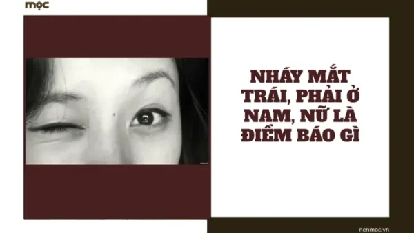 Nháy Mắt Trái Nam Có Điềm Báo Gì? Giải Mã Chi Tiết Hên Hay Xui Theo Giờ Và Khoa Học