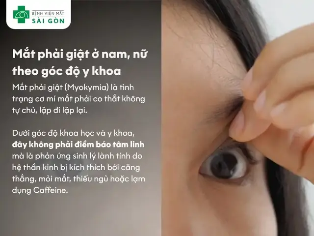 Cách Chăm Sóc Và Giảm Mỏi Mắt Hiệu Quả Vào Buổi Tối Cách Chăm Sóc Và Giảm Mỏi Mắt Hiệu Quả Vào Buổi Tối