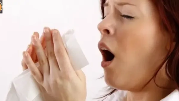 Giải Mã Điềm Báo Nhảy Mũi 1 Cái Là Gì? Ý Nghĩa Theo Giờ Và Từng Trường Hợp