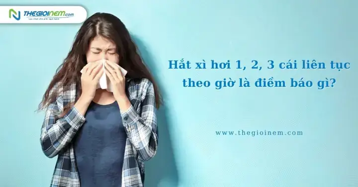 Hình Ảnh Minh Họa Các Nguyên Nhân Gây Hắt Xì Hơi Liên Tục