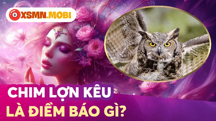 Chim Lợn Bay Vào Nhà Hoặc Đậu Gần Nhà Có Thực Sự Đáng Sợ Không?
