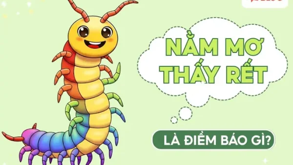 Nhìn Thấy Rết Là Điềm Gì? Giải Mã Ý Nghĩa Phong Thủy Và Vận Mệnh Chi Tiết