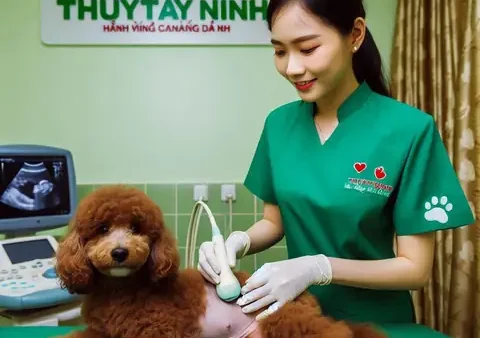 Những Điềm Báo Của Cháu Bé Không Chết: Giải Mã Ý Nghĩa Và Câu Chuyện Tâm Lý Đằng Sau Hiện Tượng Thoát Nạn Kỳ Diệu