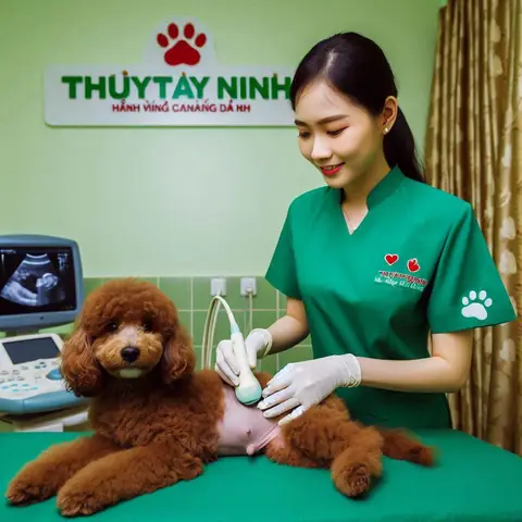 Những Điềm Báo Của Cháu Bé Không Chết: Giải Mã Ý Nghĩa Và Câu Chuyện Tâm Lý Đằng Sau Hiện Tượng Thoát Nạn Kỳ Diệu