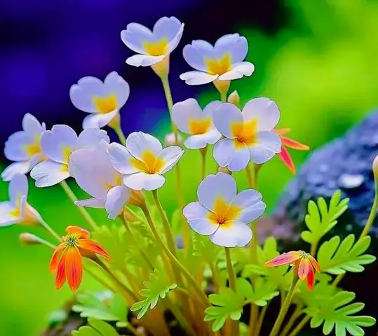 Những Giấc Mơ Mang Lại Điềm Báo Tài Lộc Và Phú Quý Những Giấc Mơ Mang Lại Điềm Báo Tài Lộc Và Phú Quý