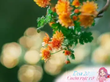 Xây Dựng Thói Quen Quản Lý Tài Chính Thông Minh Khi Dòng Tiền Bắt Đầu Đổ Về Xây Dựng Thói Quen Quản Lý Tài Chính Thông Minh Khi Dòng Tiền Bắt Đầu Đổ Về
