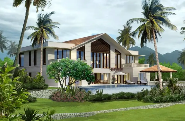 Cây Cối Trong Nhà Bất Ngờ Đơm Hoa Kết Trái Hoặc Nảy Lộc Cây Cối Trong Nhà Bất Ngờ Đơm Hoa Kết Trái Hoặc Nảy Lộc